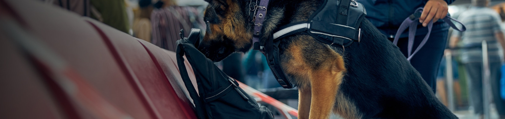 Terrorism Awareness – ‘Run, Hide & Tell’ – Online Theory Course